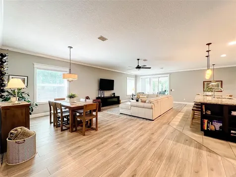 30249 Plymouth Creek Circle Sorrento FL 32776