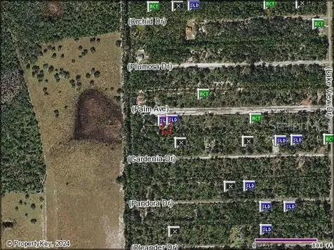 0 Palm Avenue Indian Lake Estates FL 33855