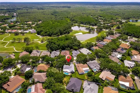 17520 Edinburgh Drive Tampa FL 33647