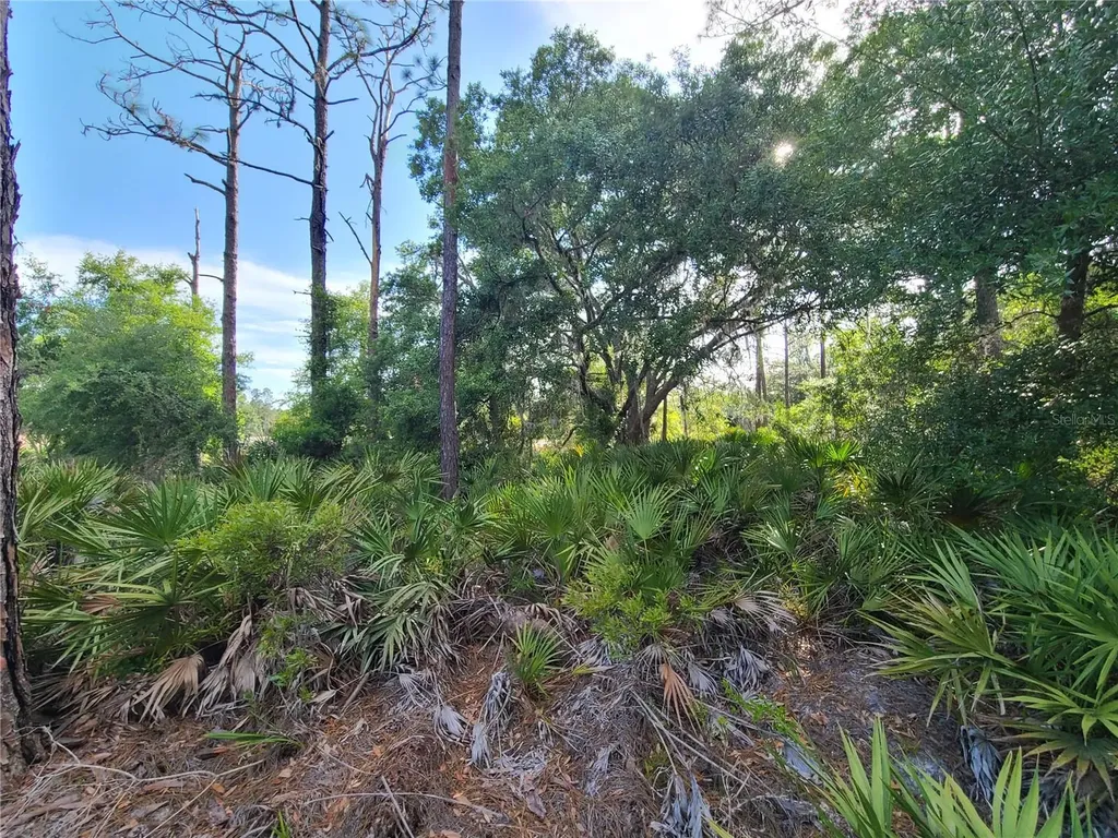 8436 N Erin Drive Crystal River FL 34428