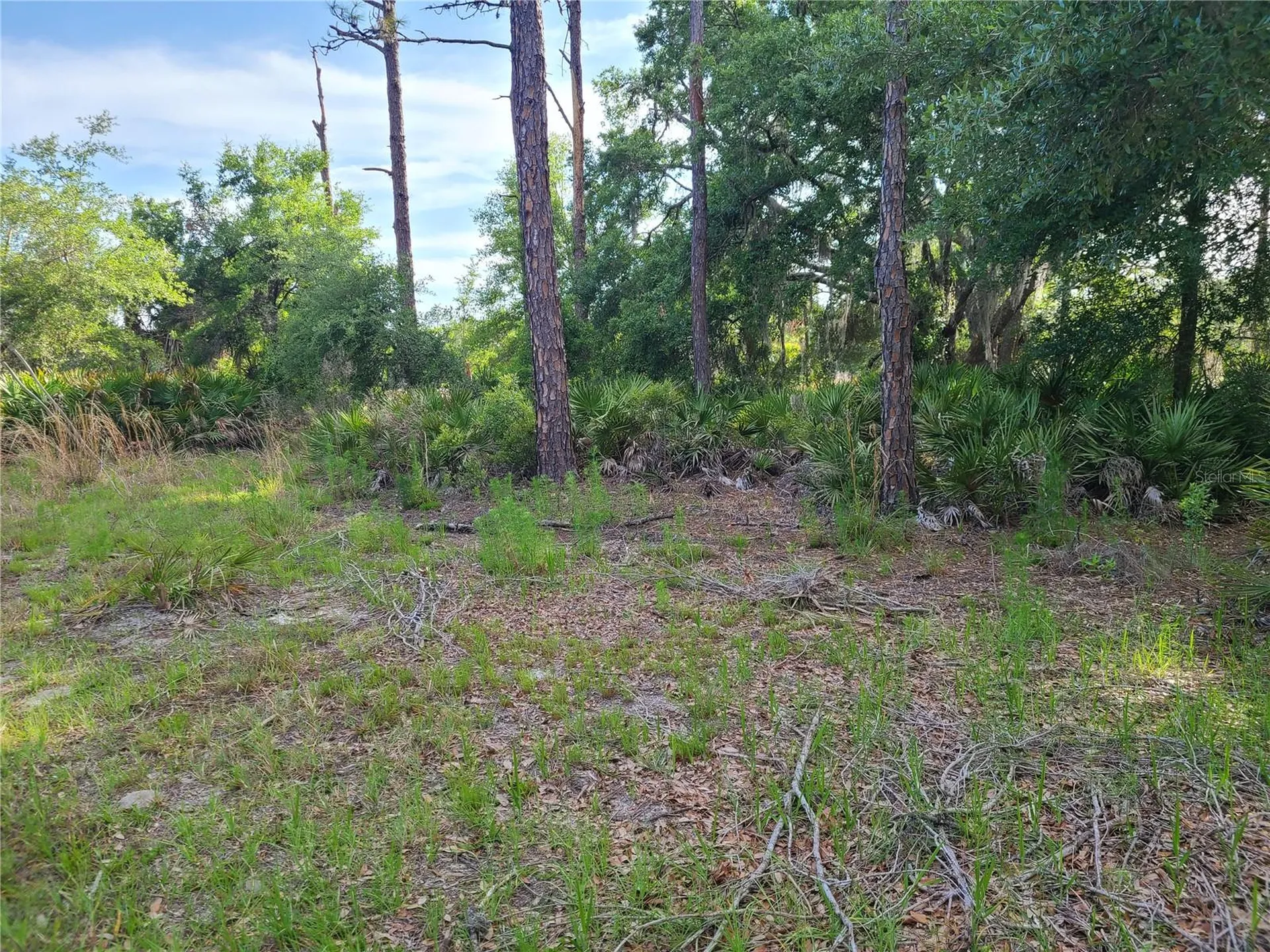 8436 N Erin Drive Crystal River FL 34428