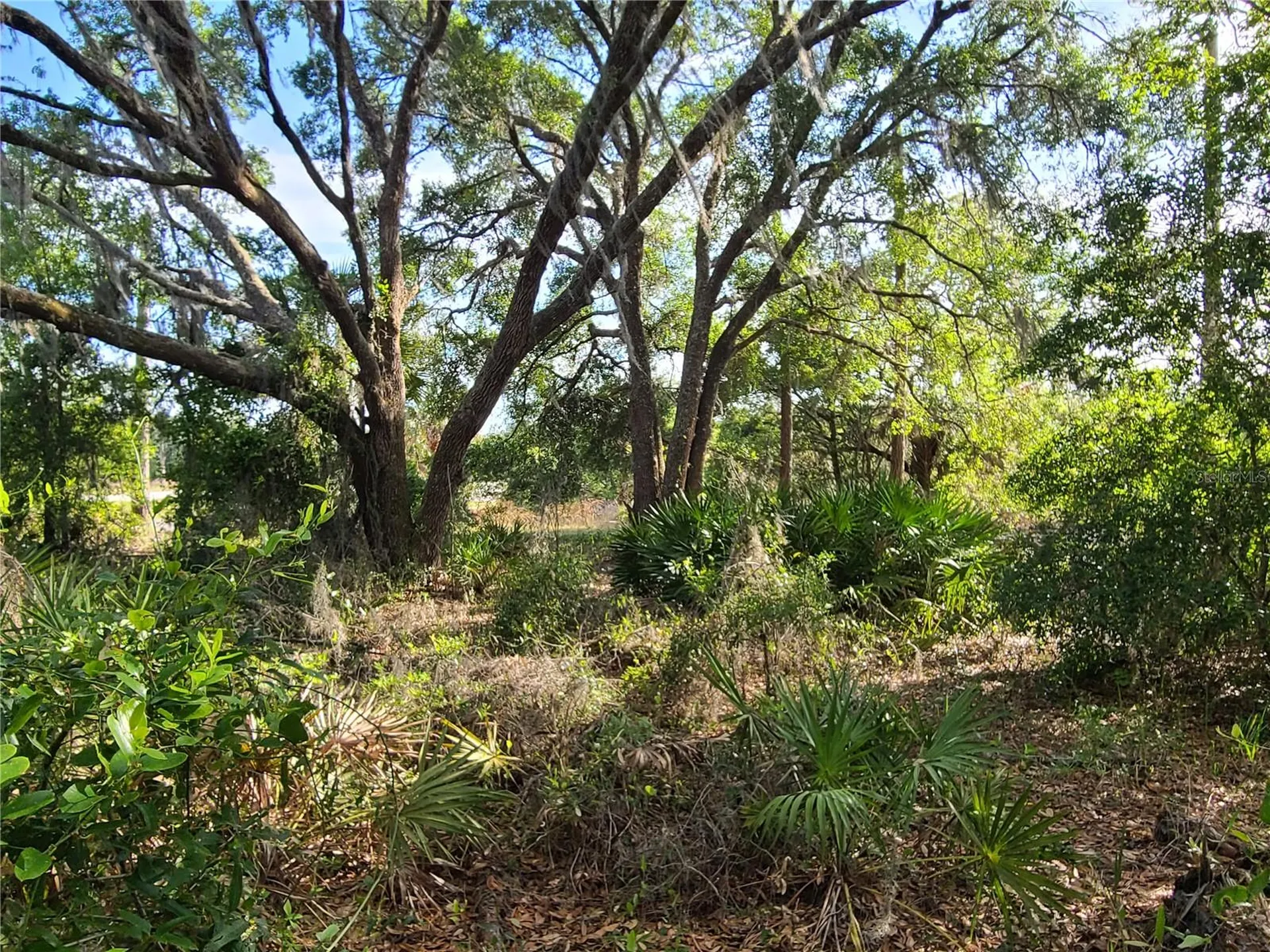 8436 N Erin Drive Crystal River FL 34428