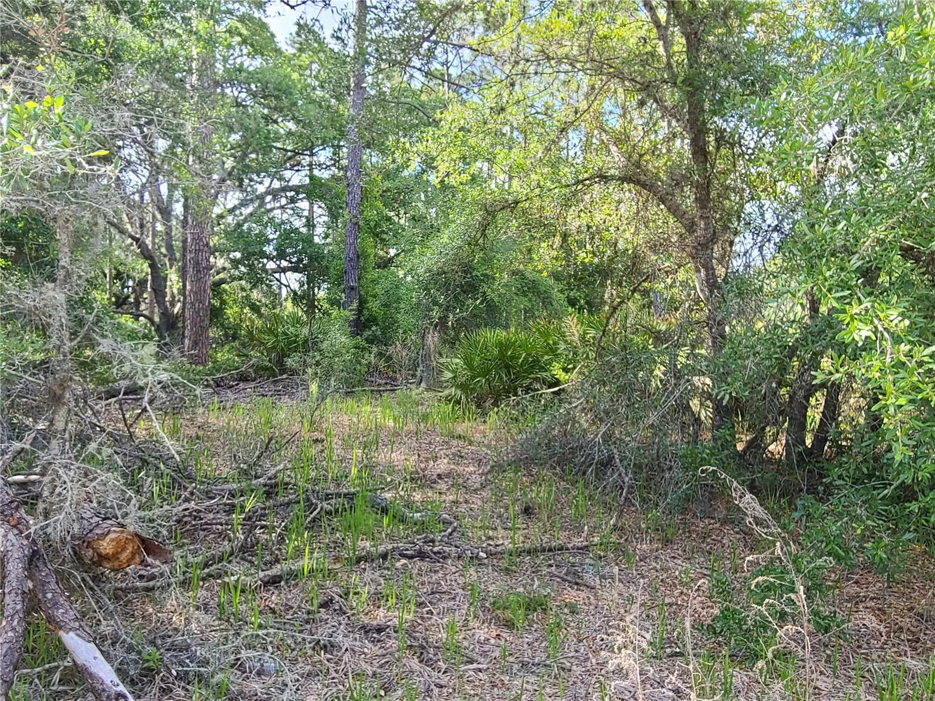 8436 N Erin Drive Crystal River FL 34428