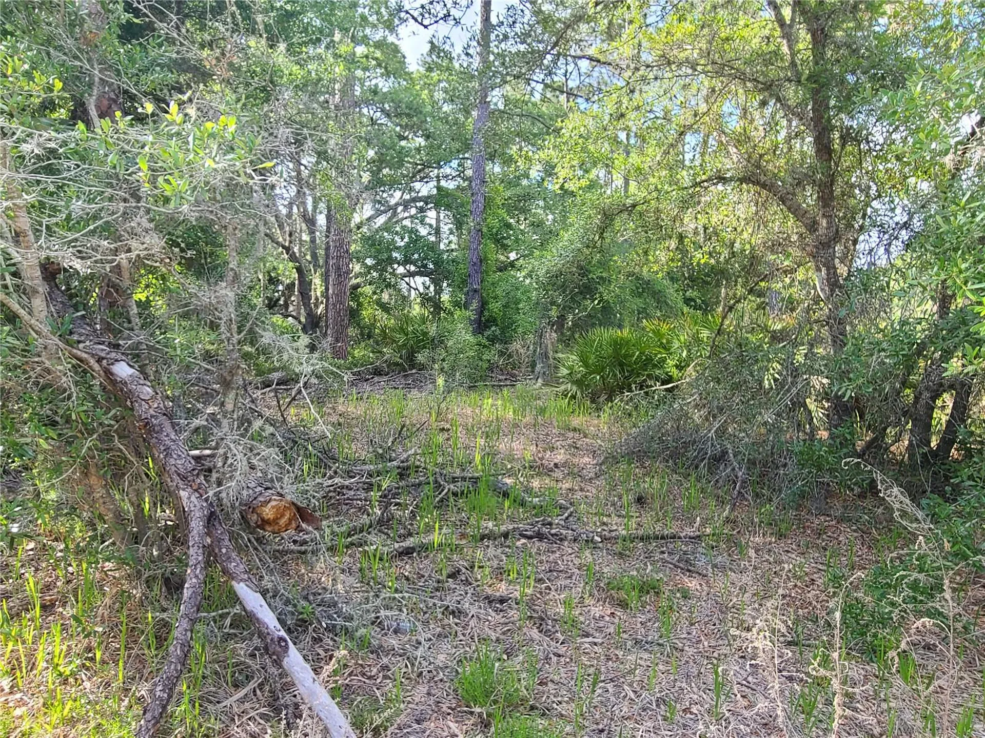 8436 N Erin Drive Crystal River FL 34428