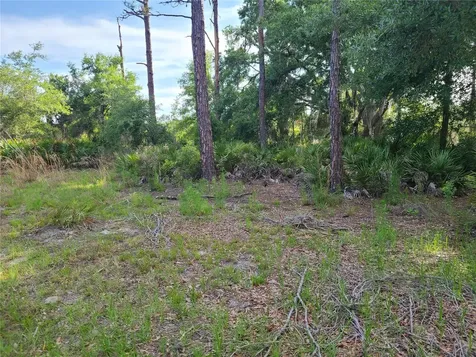 8436 N Erin Drive Crystal River FL 34428