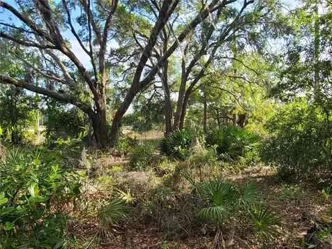 8436 N Erin Drive Crystal River FL 34428