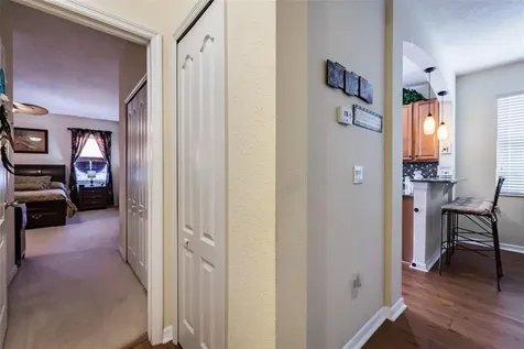 15207 Antilles Isle Lane Tampa FL 33647