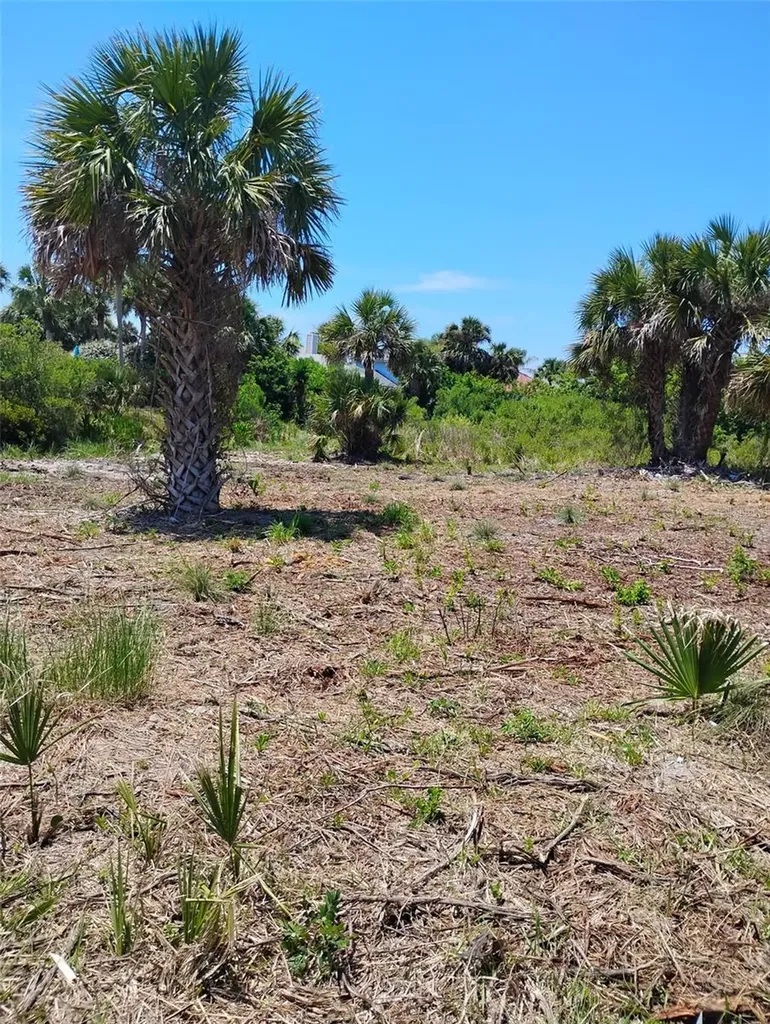 24 Mahoe Drive S Palm Coast FL 32137