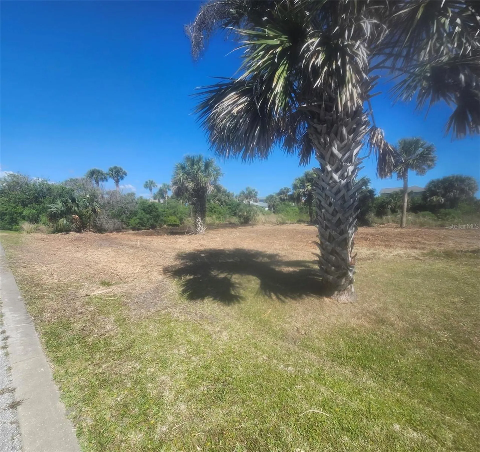24 Mahoe Drive S Palm Coast FL 32137
