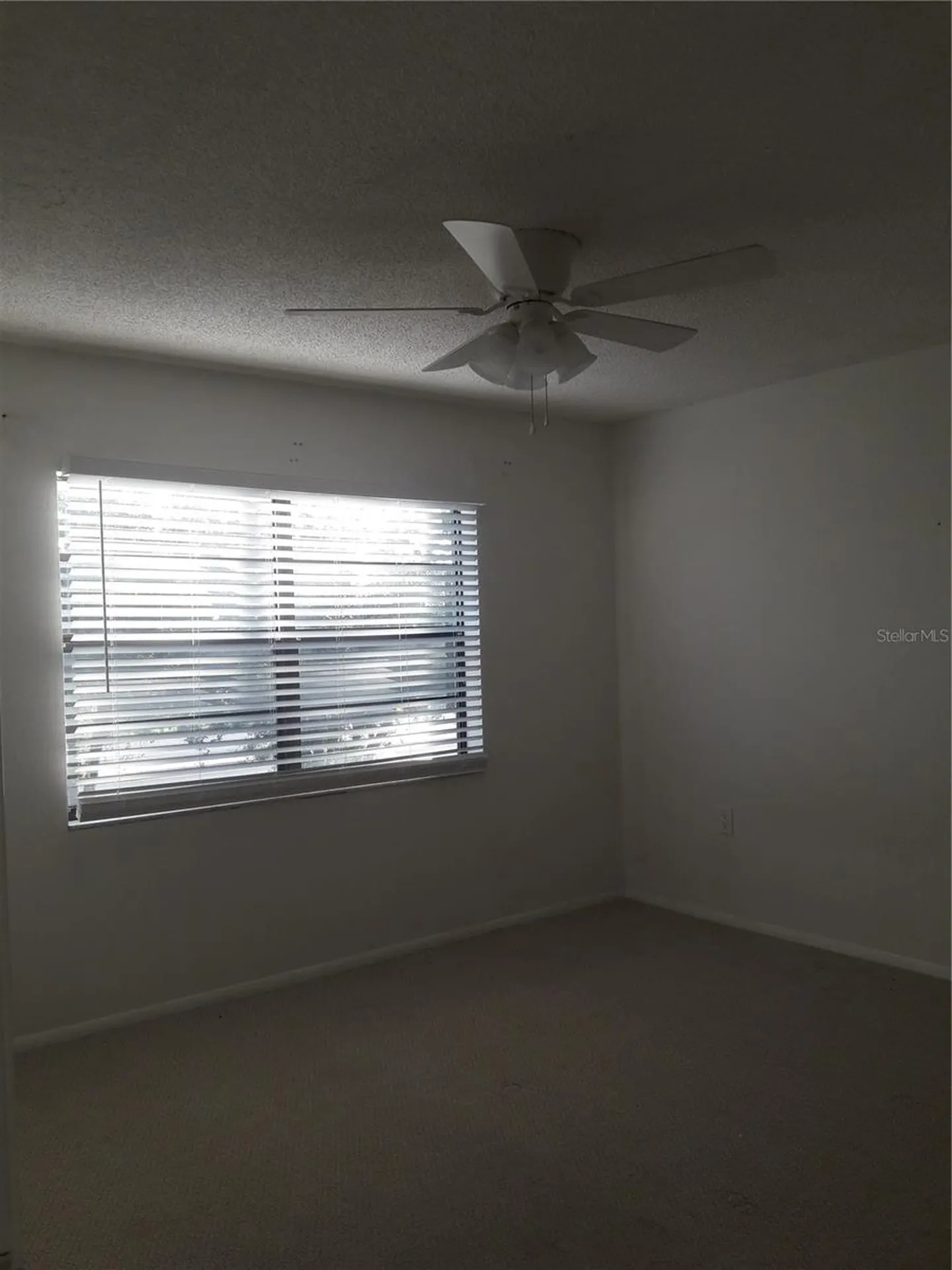 101 Lake Avenue NE Largo FL 33771