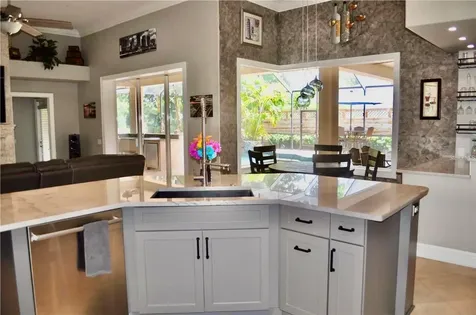 17103 Tiffany Lake Place Lutz FL 33549