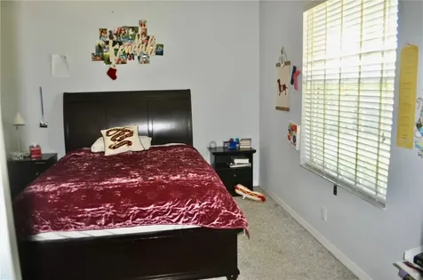 17103 Tiffany Lake Place Lutz FL 33549