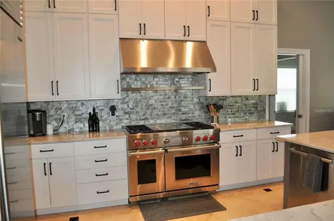 17103 Tiffany Lake Place Lutz FL 33549
