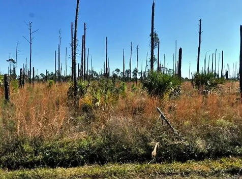 Ewen Circle North Port FL 34288