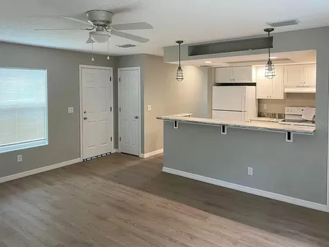 1005 N Rockingham Avenue Tavares FL 32778