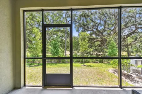 30826 Veridian Way Wesley Chapel FL 33543