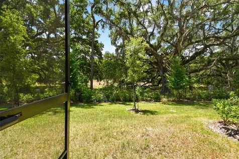 30826 Veridian Way Wesley Chapel FL 33543