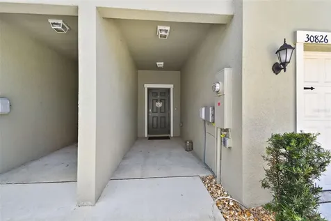 30826 Veridian Way Wesley Chapel FL 33543