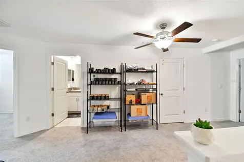 30826 Veridian Way Wesley Chapel FL 33543