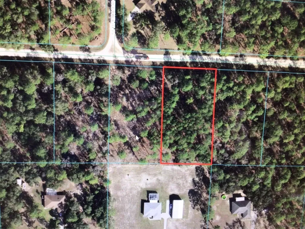 0 SW 78 Place Dunnellon FL 34432