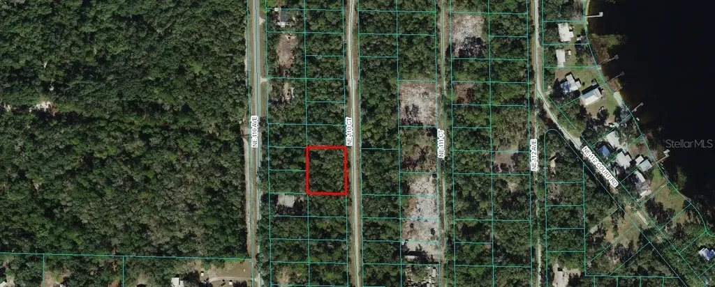 Tbd NE 110 Court Fort Mc Coy FL 32134