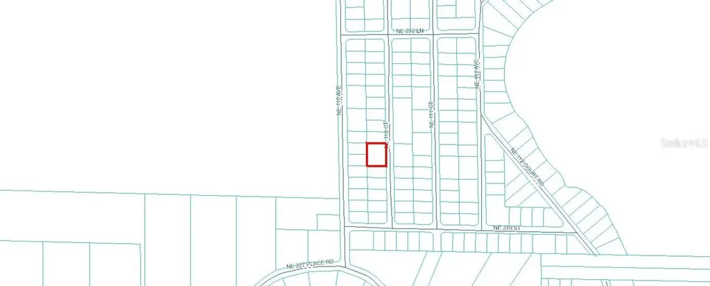 Tbd NE 110 Court Fort Mc Coy FL 32134