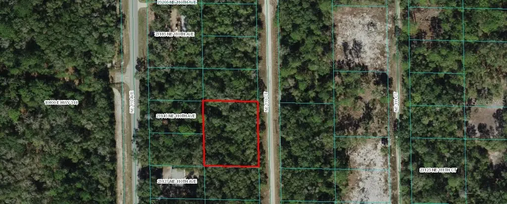 Tbd NE 110 Court Fort Mc Coy FL 32134
