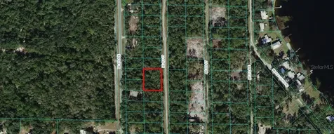 Tbd NE 110 Court Fort Mc Coy FL 32134