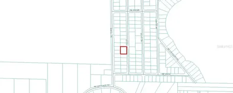 Tbd NE 110 Court Fort Mc Coy FL 32134