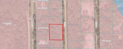 Tbd NE 110 Court Fort Mc Coy FL 32134