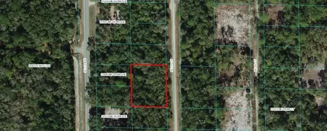 Tbd NE 110 Court Fort Mc Coy FL 32134