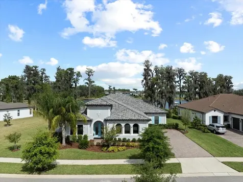 3603 Madison Cypress Drive Lutz FL 33558