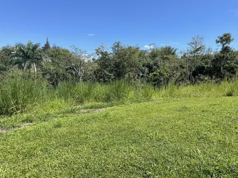 Jacinto Caguas PR 00725