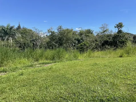 Jacinto Caguas PR 00725