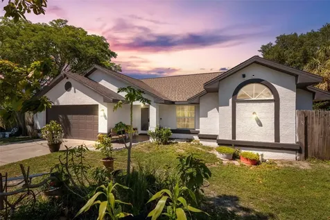 31723 Saddle Lane Wesley Chapel FL 33543