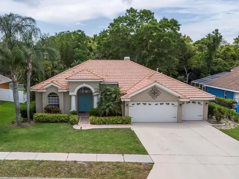 748 Sunflower Drive Palm Harbor FL 34683