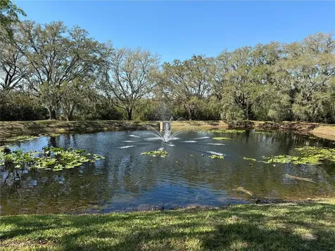 15434 N Florida Avenue Tampa FL 33613