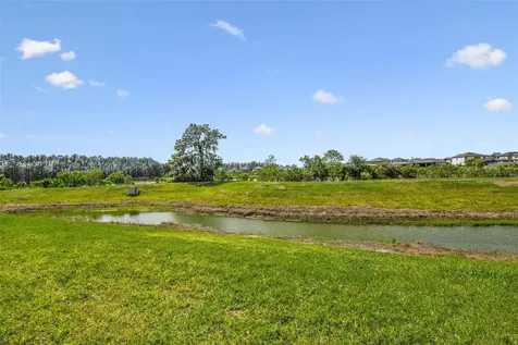 19141 Leonard Road Lutz FL 33558