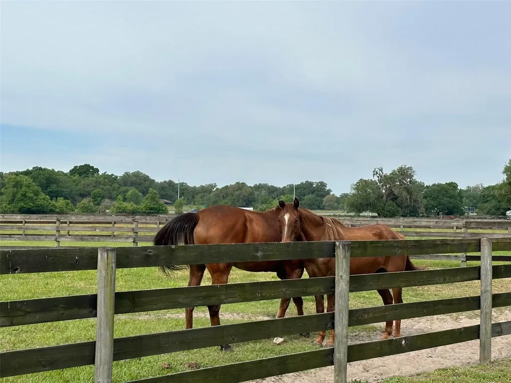 4101 NW 89th Place Ocala FL 34482
