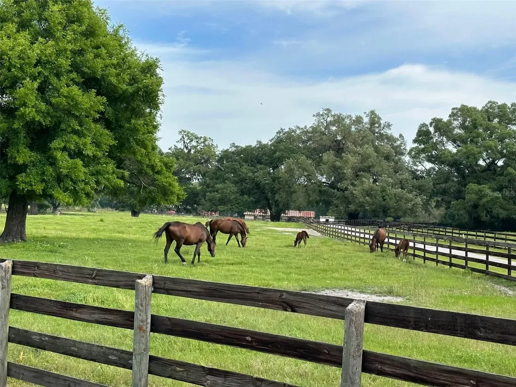 4101 NW 89th Place Ocala FL 34482