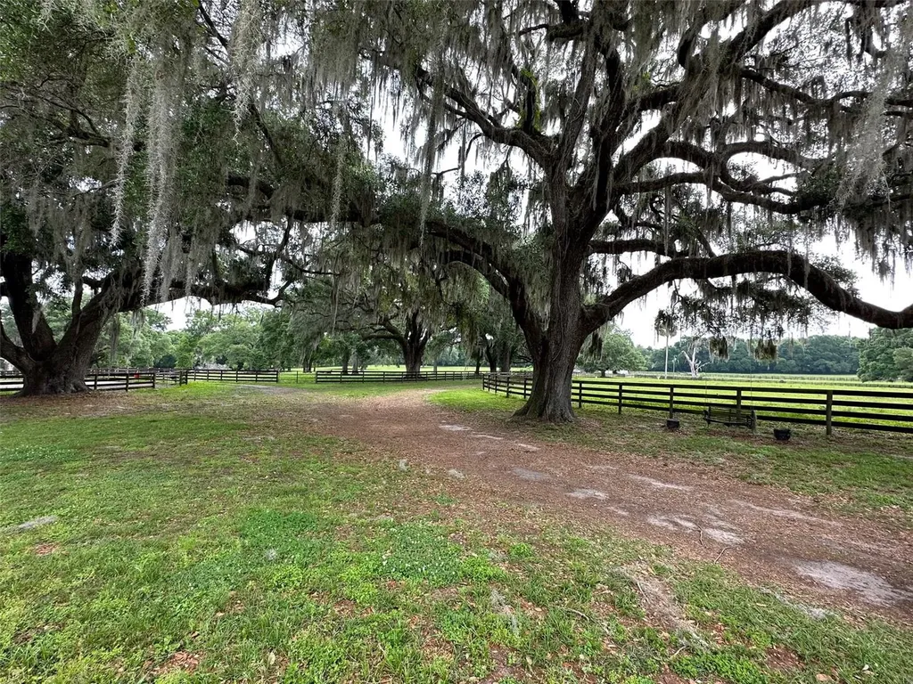 4101 NW 89th Place Ocala FL 34482