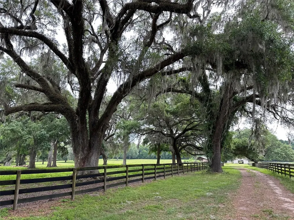 4101 NW 89th Place Ocala FL 34482