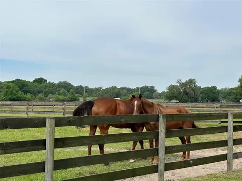 4101 NW 89th Place Ocala FL 34482