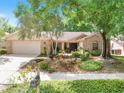 1019 Woodcrest Avenue Safety Harbor FL 34695