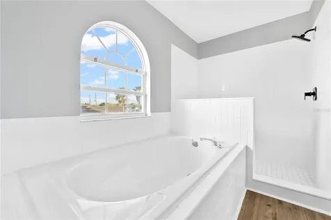 1134 Lavaur Court Kissimmee FL 34759