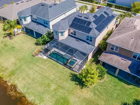 11604 Orange Palm Way Tampa FL 33626