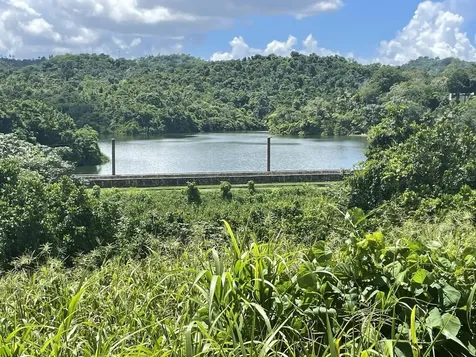 Camino Entrada Al Lago San Juan PR 00926