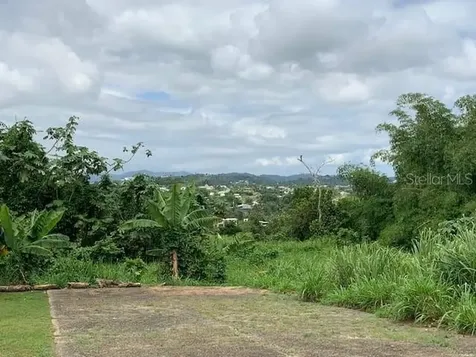 Camino Entrada Al Lago San Juan PR 00926