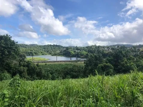 Camino Entrada Al Lago San Juan PR 00926