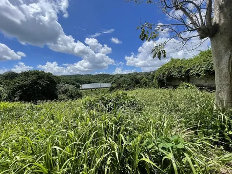 Camino Entrada Al Lago San Juan PR 00926